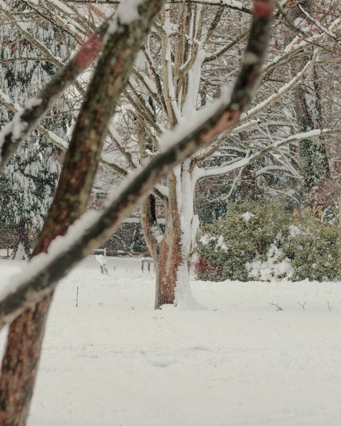 Through The Lens Of Alina Trifan: Turning The Ordinary Into Dreamscapes