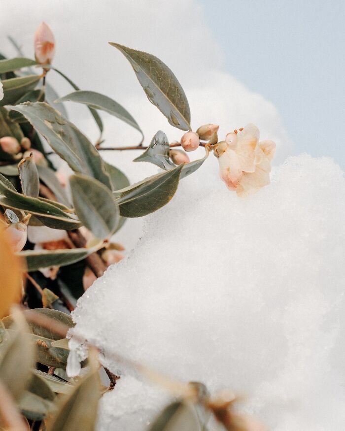 Through The Lens Of Alina Trifan: Turning The Ordinary Into Dreamscapes