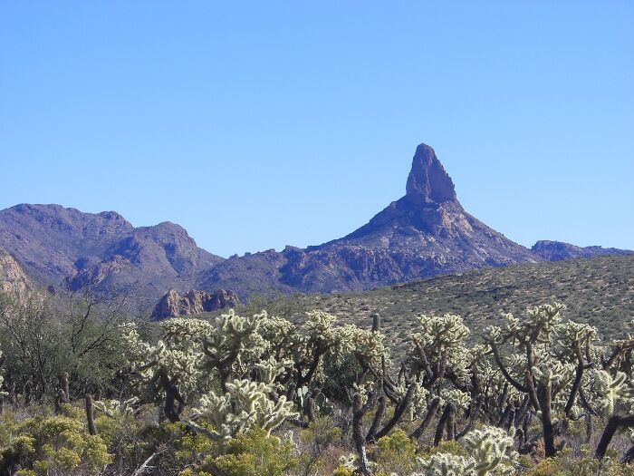 Desert landscape with spire-like mountain, a setting for weird unsolved mysteries amidst cacti and rugged terrain.