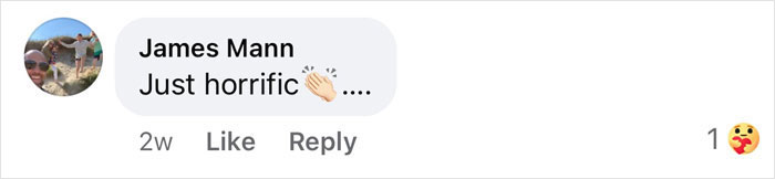 Comment by James Mann: "Just horrific" with clapping emoji. Reacted by one person with a facepalm emoji. Keywords: viral painting. Comment by James Mann: "Just horrific" with clapping emoji. Reacted by one person with a facepalm emoji. Keywords: viral painting.