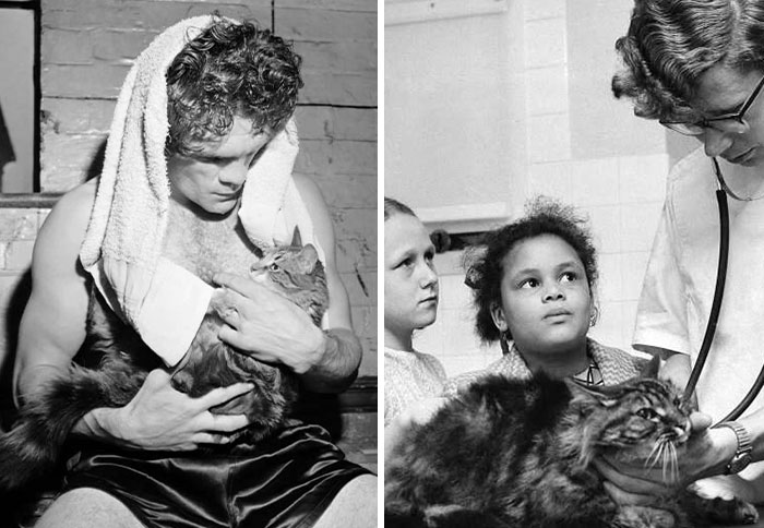 This Journalist Collects Vintage Cat Photos That Might Melt Your Heart (20 New Pics)