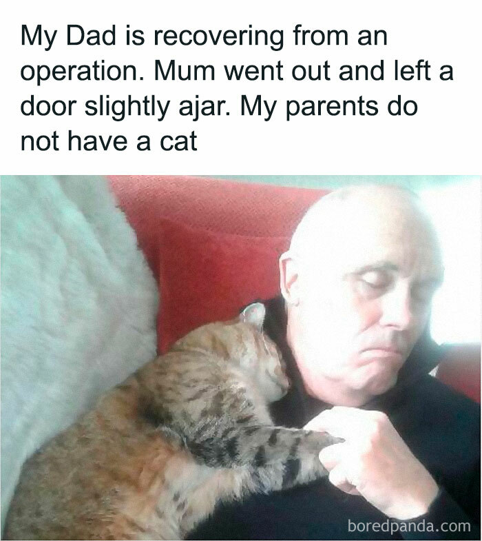 A sleeping man with a cat resting on his chest, adding humor to the situation.