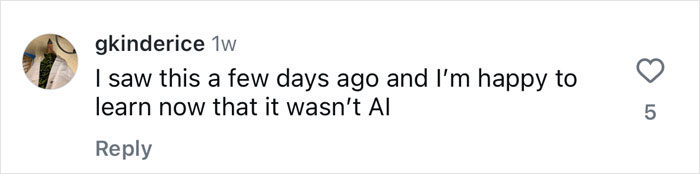 Comment on social media discussing a viral Antarctic ballerina performance.