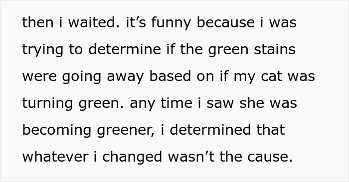 Text excerpt about a woman's humorous experience with green stains in her home related to her cat.