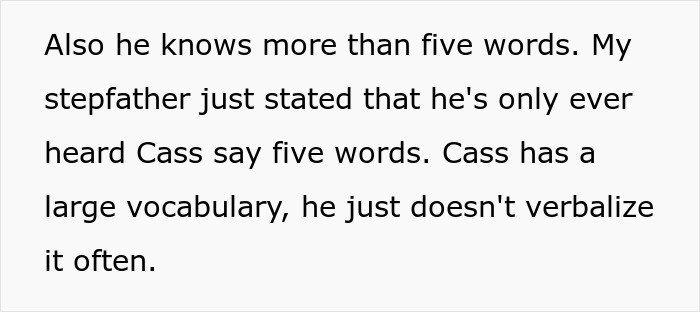 Text discussing a 3-year-old's verbal skills, with focus on vocabulary and speaking frequency. Text discussing a 3-year-old's verbal skills, with focus on vocabulary and speaking frequency.