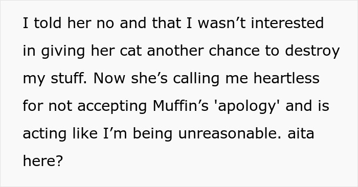 Text conversation about a lady refusing a cat's "apology" for ruining a puzzle, being called heartless.