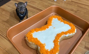 22 Paw-fect Gifts For Pets And Their Obsessed Humans