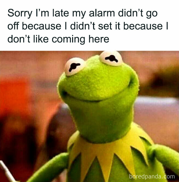 Kermit the Frog with a humorous expression, illustrating an introvert meme about avoiding unwanted obligations.