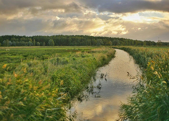 42 Netizens Share Their Most Interesting Local Unsolved Mysteries