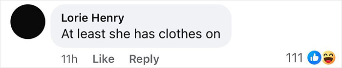 Facebook comment on Melania Trump's portrait, saying "At least she has clothes on," with 111 likes and laughing reactions. Facebook comment on Melania Trump's portrait, saying "At least she has clothes on," with 111 likes and laughing reactions.