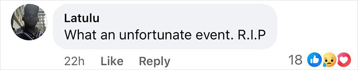 Comment discussing tragic event related to milkshake and unwashed blender.