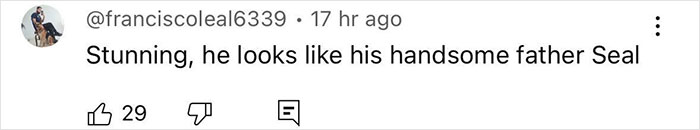 Comment on Heidi Klum's son's appearance, mentioning his father Seal, from social media.