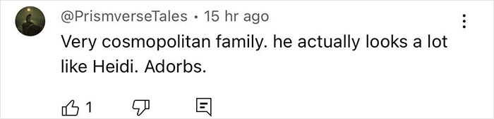 Comment mentioning Heidi Klum's resemblance in her son, described as cosmopolitan and adorable.