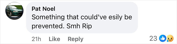 Comment expressing regret about a preventable tragedy involving a milkshake and an unwashed blender.