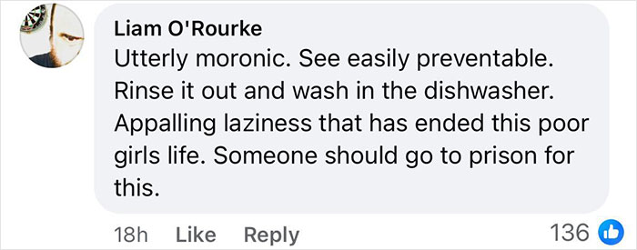 Facebook comment criticizing negligence after a girl dies from milkshake made in unwashed blender.