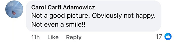 Comment criticizing Melania Trump's First Lady portrait for lack of emotion. Comment criticizing Melania Trump's First Lady portrait for lack of emotion.