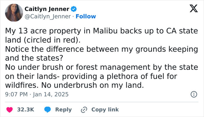 Caitlyn Jenner highlights poor forest management causing LA wildfires, comparing clear land with underbrush on state property. Caitlyn Jenner highlights poor forest management causing LA wildfires, comparing clear land with underbrush on state property.