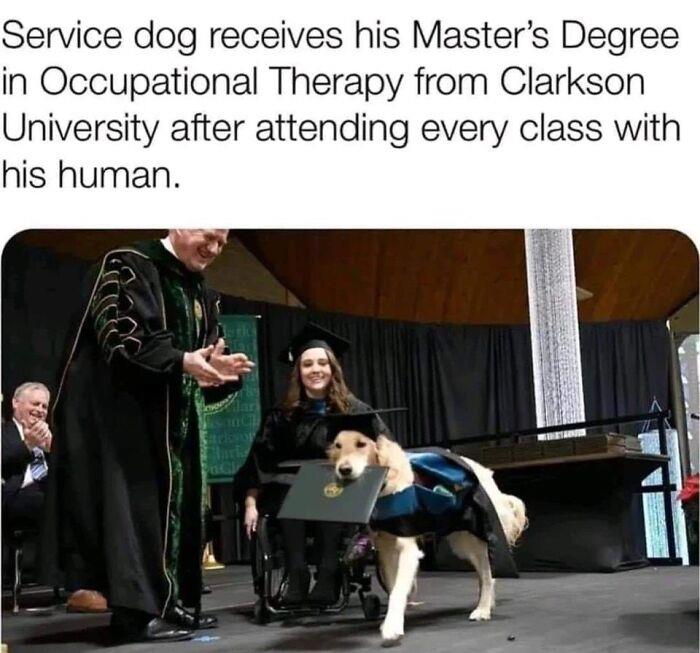 Wholesome-Meet-The-Internet-Best-All-Time