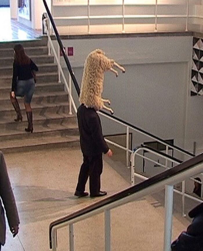 From Bad Decisions To Bizarre Timing, Here Are 40 Cursed Images That Defy Explanation