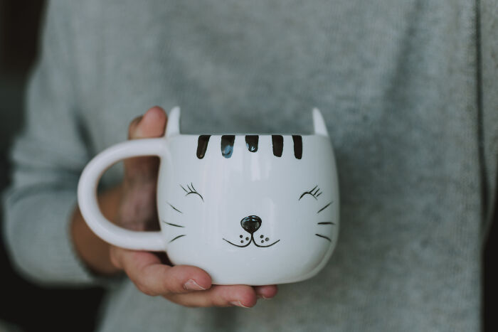 Person holding a cat-themed mug.