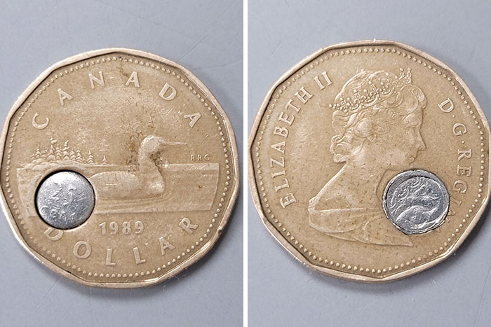 Two Canadian coins featuring a loon and Queen Elizabeth II, appealing to numismatists.
