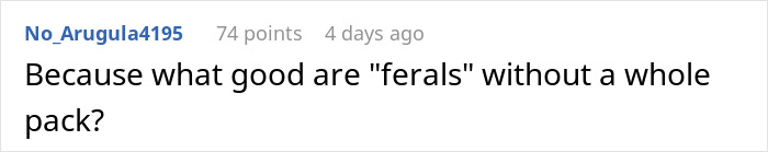 Comment about feral children in context of parenting discussion, with username and interaction details shown.