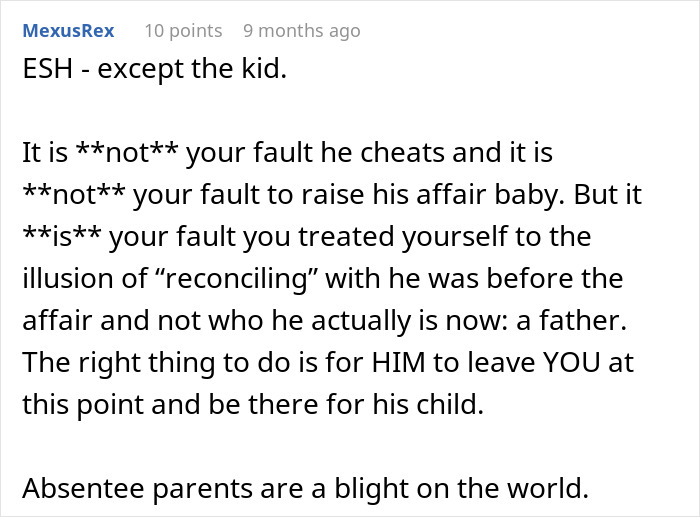 Reddit comment discussing affair, divorce, and child custody issues.
