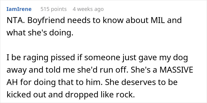 MIL Tries To Get Rid Of BF’s Dog By “Rehoming” It, Gets Kicked To The Curb When Truth Comes Out MIL Tries To Get Rid Of BF’s Dog By “Rehoming” It, Gets Kicked To The Curb When Truth Comes Out