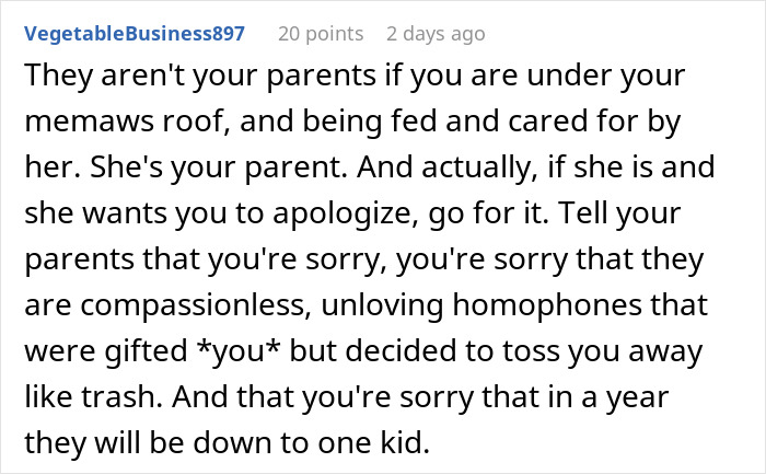 Text comment discussing parental relationships and apologies, mentioning being under a different caregiver's roof.
