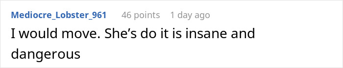 Reddit comment about a mother-in-law's insane and dangerous behavior causing trouble for a couple.