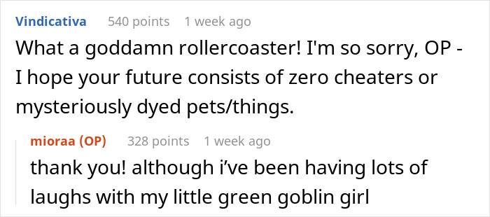 Reddit comments about mysterious stains, discussing a rollercoaster of emotions and mentioning a green goblin girl.