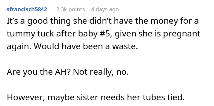 Reddit comment discussing a woman criticizing her sister for constant complaints about raising five children.