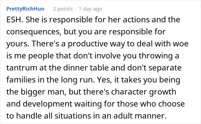 Text comment discussing responsibility and character growth in handling family conflicts.