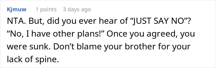 Guy Ruins New Year For Sister, Is Shocked She Refuses To Babysit His Kids Ever Again