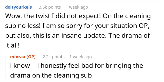 Reddit comments discussing unexpected stains left by a mistress in a woman's home, creating drama on a cleaning forum.