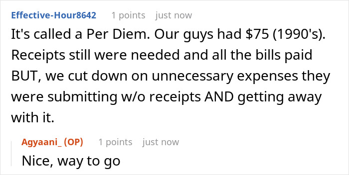 Reddit comments discussing per diem expenses and receipt policies. Reddit comments discussing per diem expenses and receipt policies.