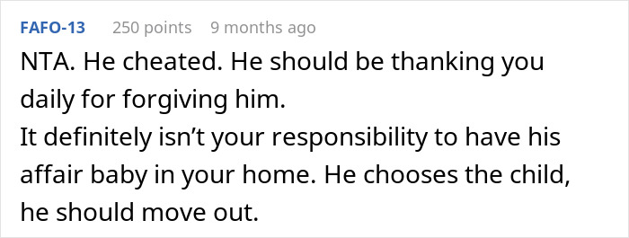 Reddit comment discussing divorce and custody issues regarding an affair child.