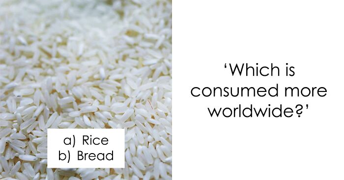 “Which Is Consumed More?”: Get Ready To Uncover The Most Consumed Items Around The Globe