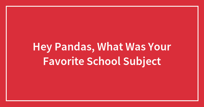 Hey Pandas, What Was Your Favorite School Subject