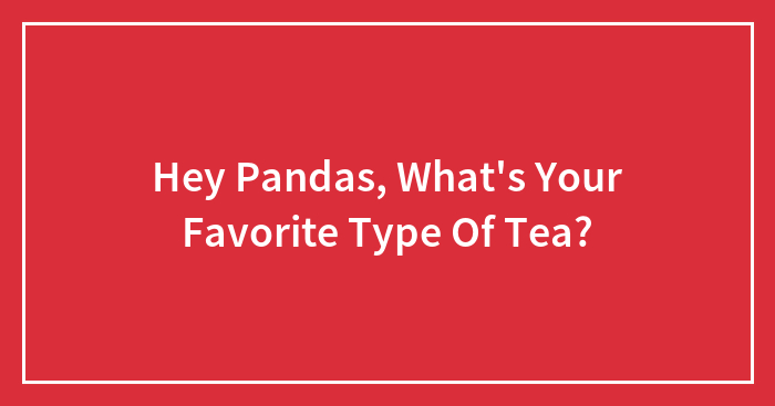 Hey Pandas, What’s Your Favorite Type Of Tea? (Closed)