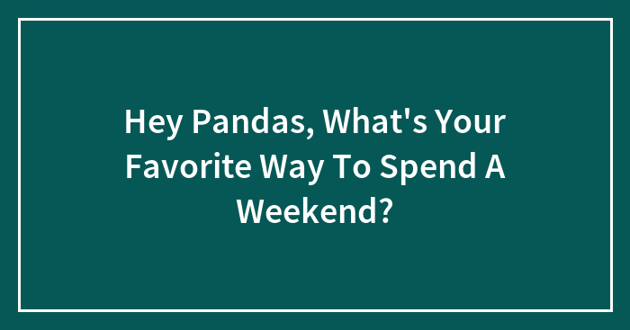 Hey Pandas, What’s Your Favorite Way To Spend A Weekend?