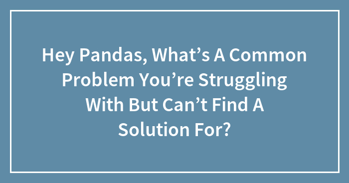 Hey Pandas, What’s A Common Problem You’re Struggling With But Can’t Find A Solution For?