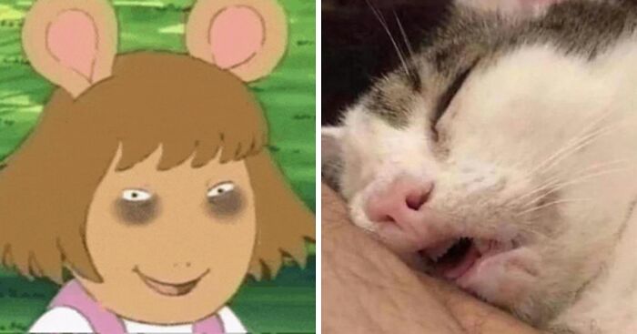 Sleepmaxxing, A Trend Expected To Revolutionize Our Sleep, Is Going Viral On The Internet