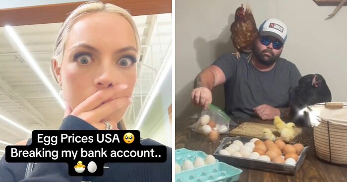 “I Have To Dip Into My Retirement”: Record-High Egg Prices Spark Hilarious Reactions