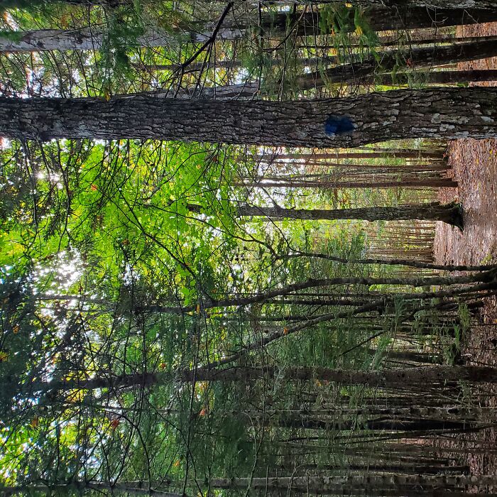 Here Are 19 Random Photos From My Camera Roll