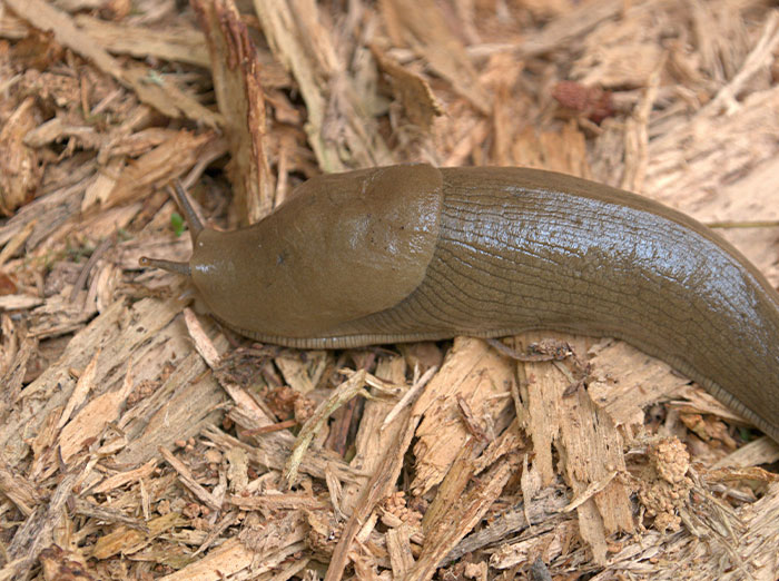 22 Retos que convirtieron algo que era un juego en puro caos