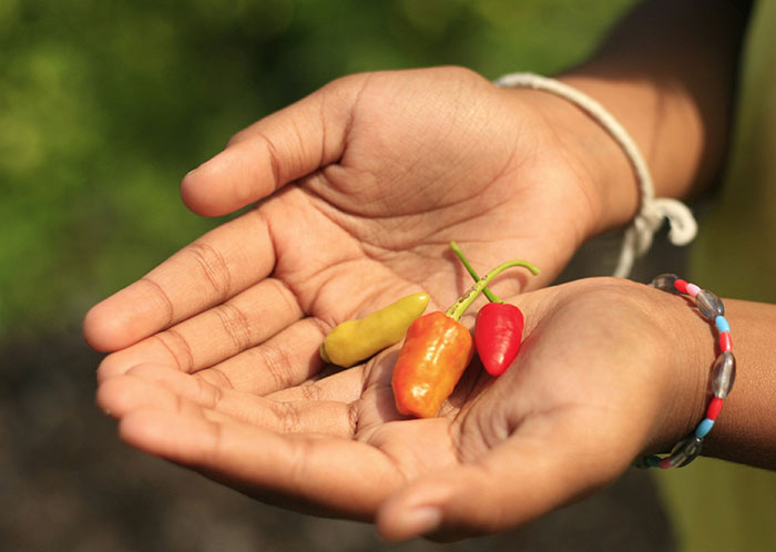 22 Retos que convirtieron algo que era un juego en puro caos