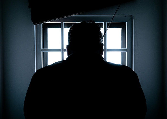 Silhouetted person standing in front of a window with bars, evoking horror movie-worthy family secrets and dark mysteries.