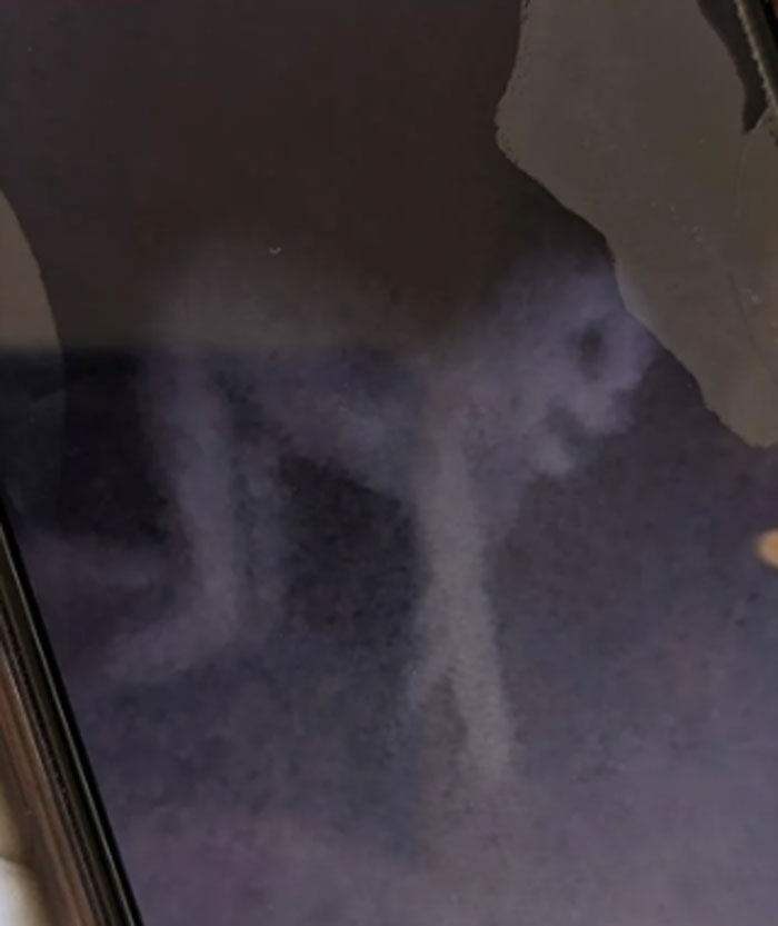 Creepy trail cam picture showing a mysterious, ghostly figure in the dark.