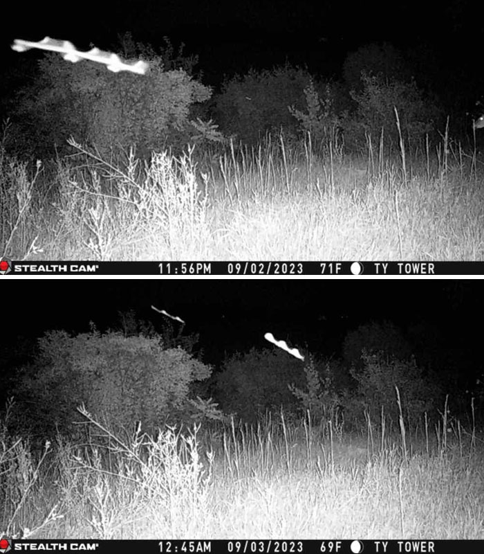 Creepy trail cam pictures showing glowing objects in a dark field at night.
